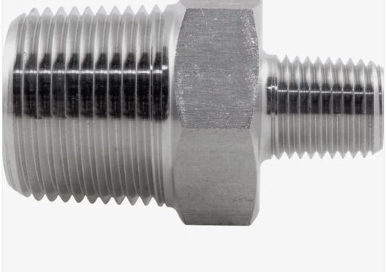 304 316 एल थ्रेडेड स्टेनलेस स्टील पाइप फिटिंग पुरुष हेक्स निप्पल रेड्यूसर